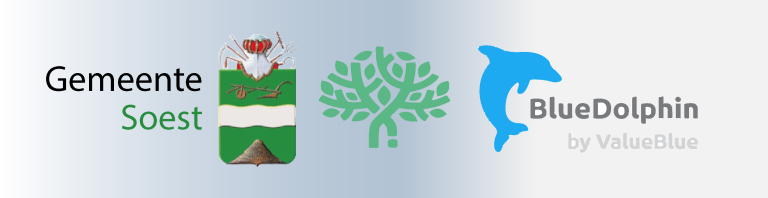 Hoe gemeente Soest haar applicatielandschap transformeerde met BlueDolphin 